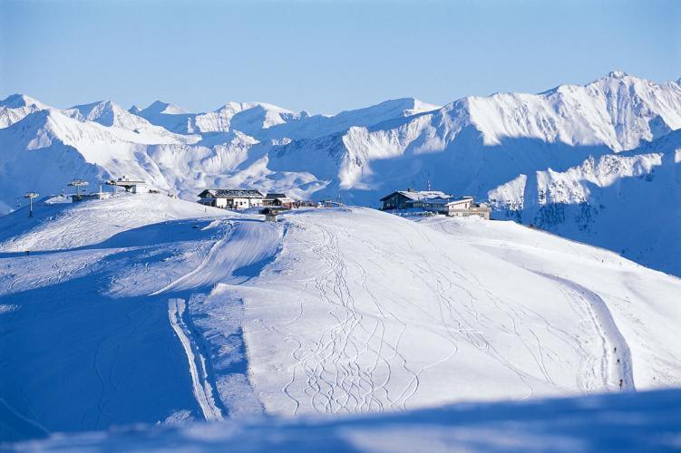 Almstube Fritz Apartment Wald im Pinzgau Bagian luar foto