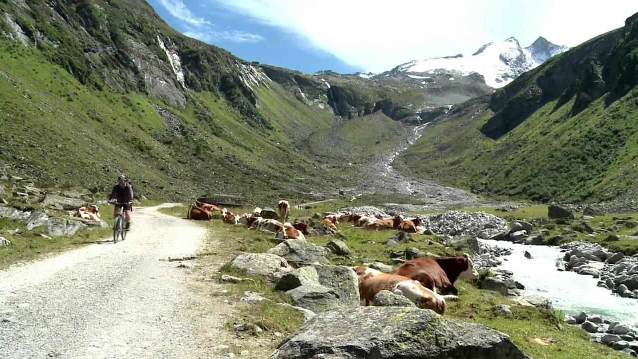 Almstube Fritz Apartment Wald im Pinzgau Bagian luar foto